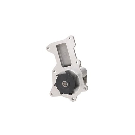 Dayco Water Pump, DP808 DP808